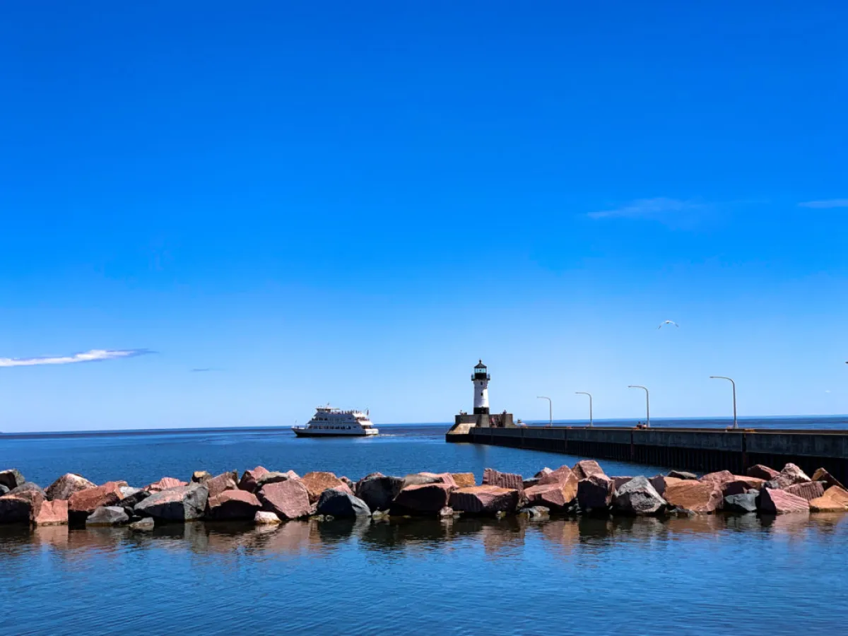 a flock of birds sitting on a dock next to a body of water