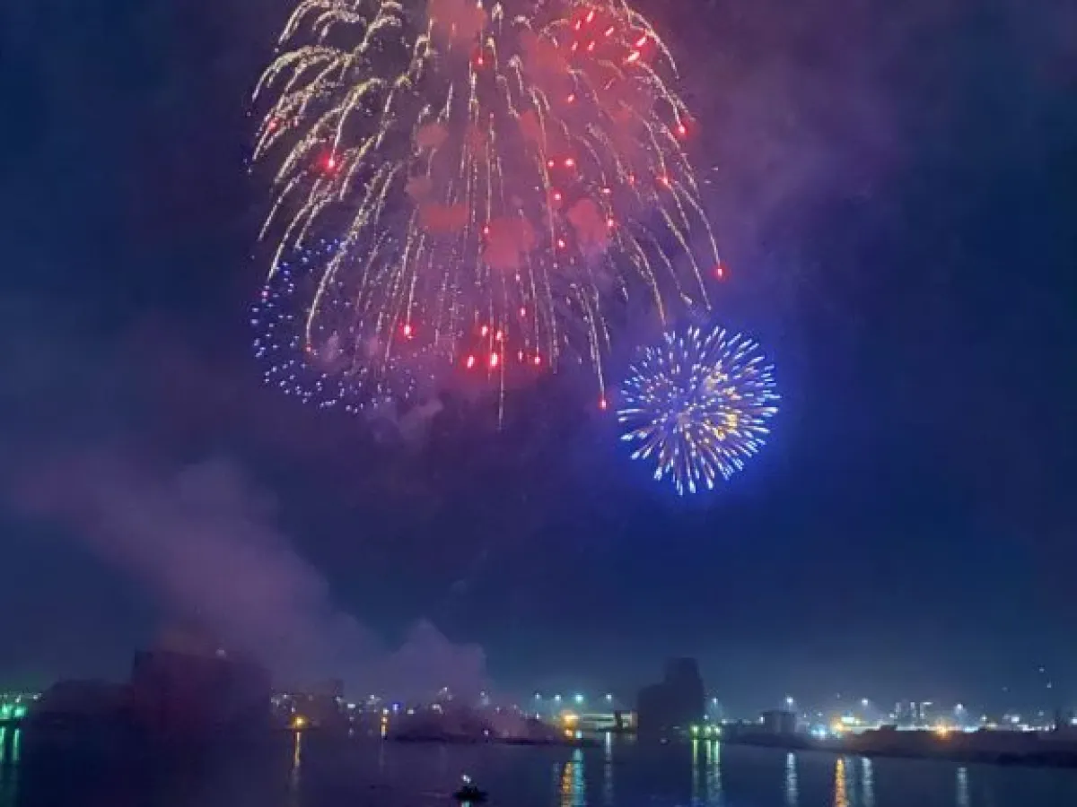 fireworks in the sky